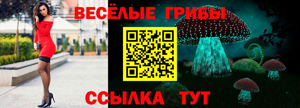 Чебаркуль  Псилоцибиновые грибы Psilocybe  Псилоцибиновые грибы Cubensis  Вход с VPN 